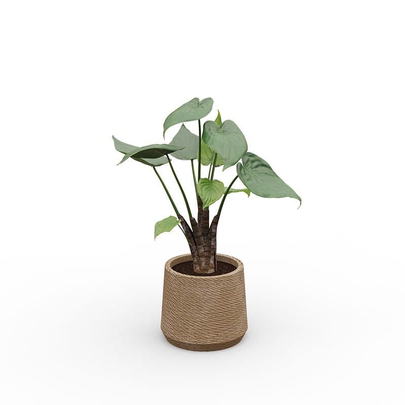 Alocasia artificiel en pot EOL