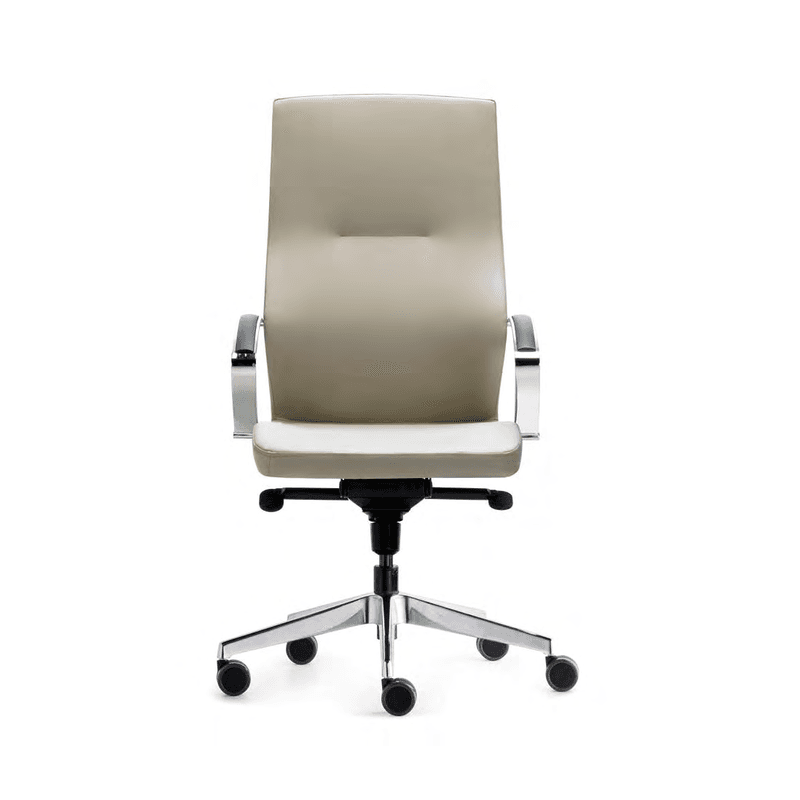 Fauteuil de direction THEUS - Forma 5