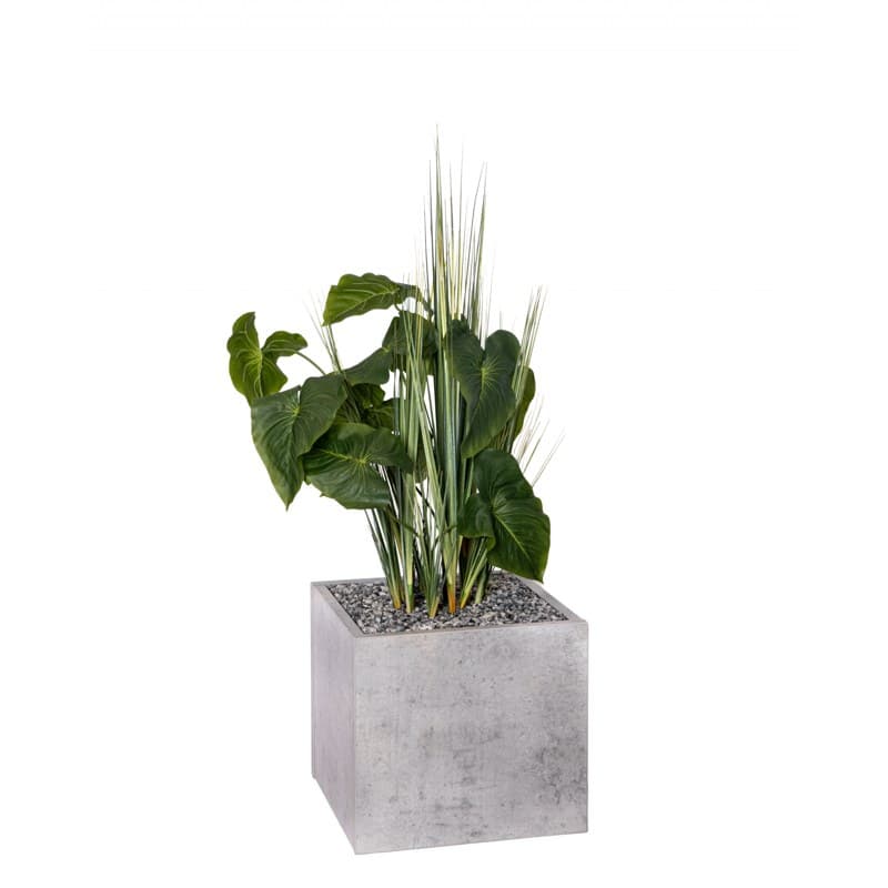 Bac carré BOSCO HERBES ANTHURIUM - GENEXCO