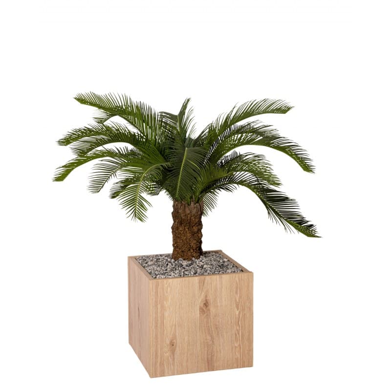 Bac carré BOSCO PALMIER - GENEXCO