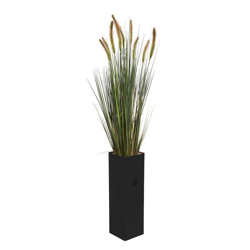 Bac haut STEEL HERBES DE DUNES - GENEXCO
