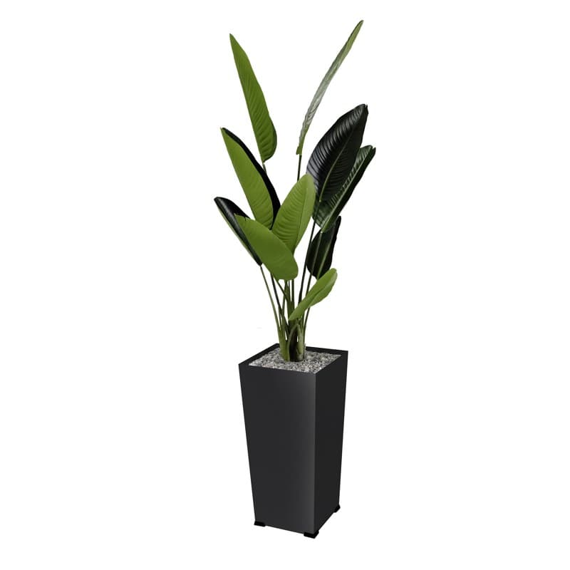 Bac métal KUB'O STRELETZIA - GENEXCO