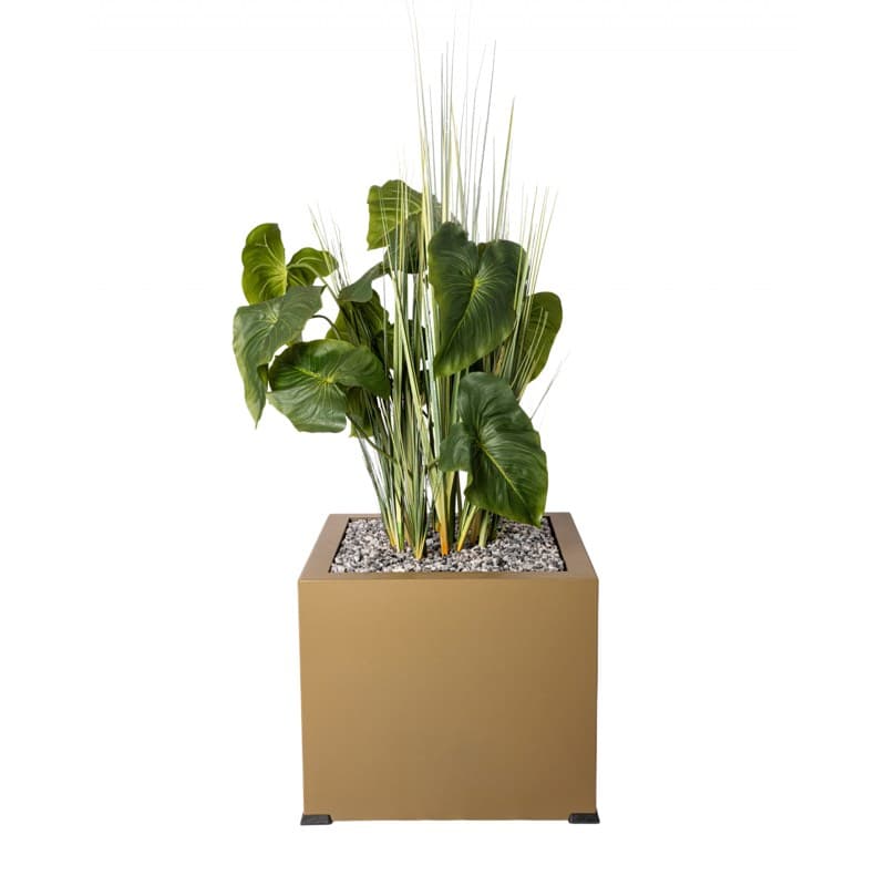 Bac O'CARRÉ ANTHURIUM - GENEXCO