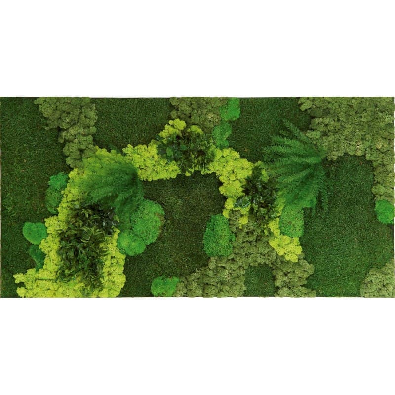 Cadre végétal artificiel CV49 - GENEXCO