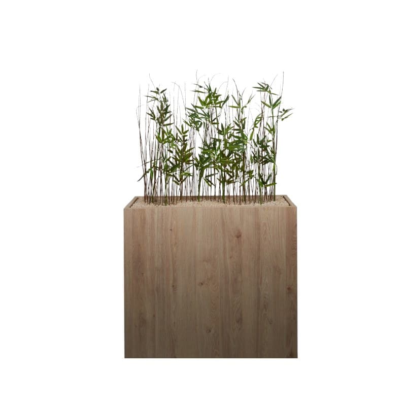 Jardinière BOSCO EXOTIQUE - GENEXCO