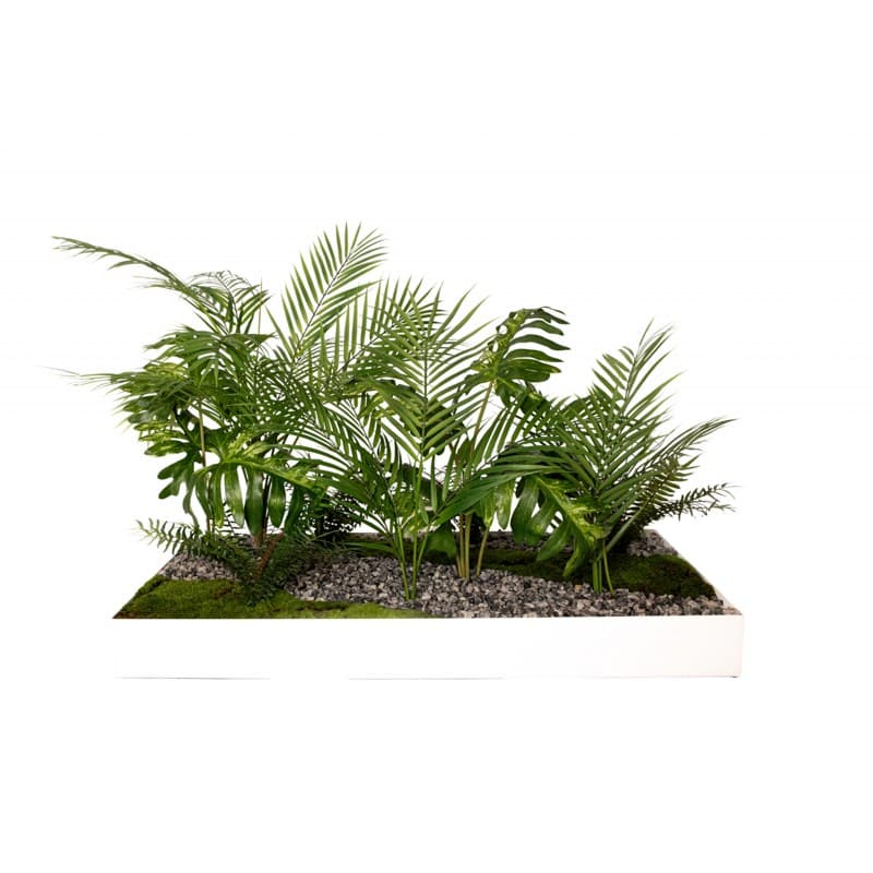 Plateau végétal COLLINE ARECA - GENEXCO