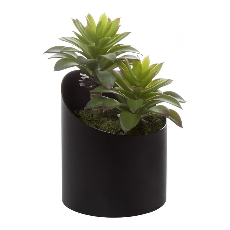 Pot métal VAGUE SEDUM - GENEXCO