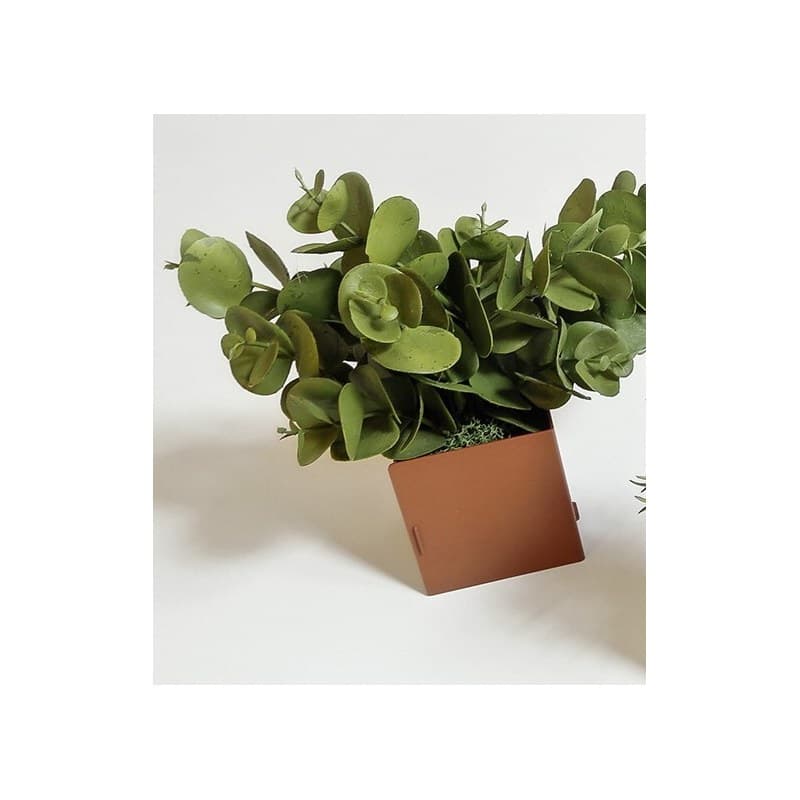 Pot TI'CUB EUCALYPTUS - GENEXCO