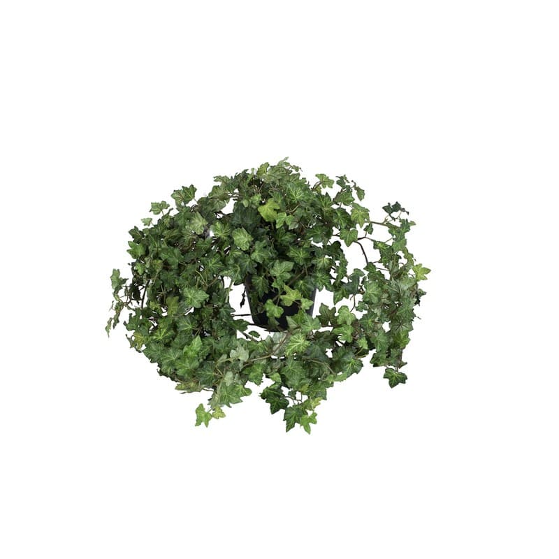 Lierre en pot artificiel