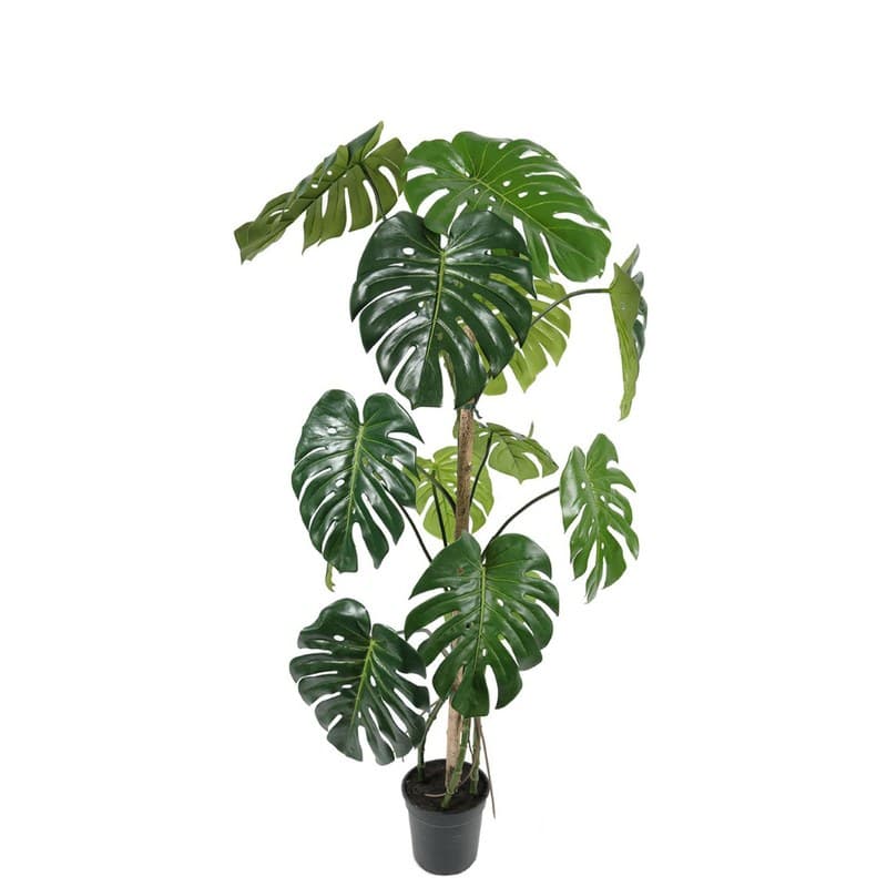 Monstera artificiel