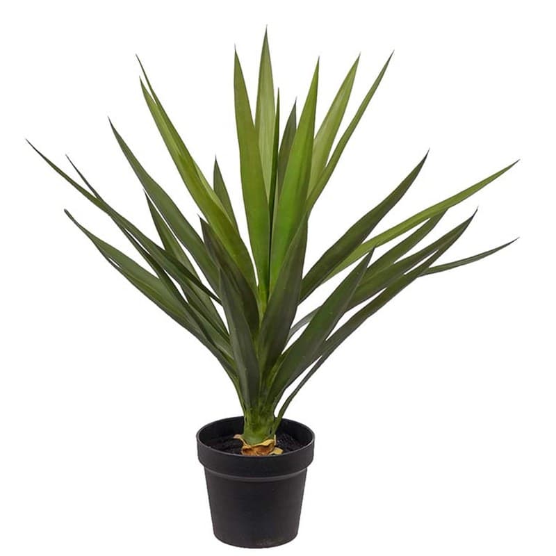 Yucca artificiel