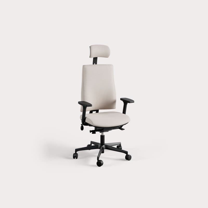 Fauteuil ergonomique AXION - HARMONY