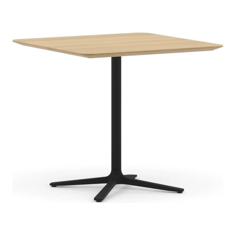 Table TRIFIDAE - PROSTORIA